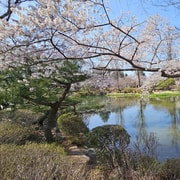 Gyeongju: Private Car Charter Taxi Tour