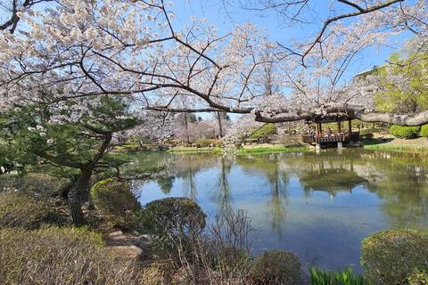 Visite de Gyeongju : Taxi public Voiture privéeVisite de Gyeongju en taxi (5 heures)