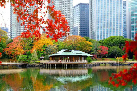 Tokyo Hidden Gems Sumo, Calligraphy & Local Streets Day Tour