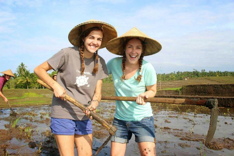 Yogyakarta: Bike Tour, Pottery, Ricefield, Museum With Lunch Bike, Pottery Class, Rice fields, Museum (No Lunch)