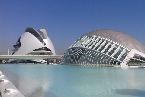 Die Stadt der Künste und Wissenschaften in Valencia