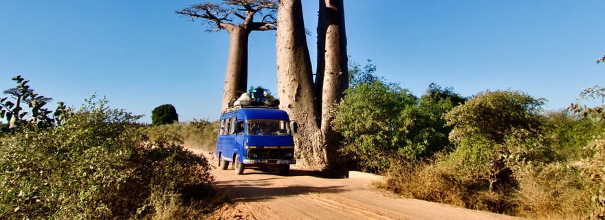 Circuit de 8 jours à Morondava, Tsingy et Avenue des Baobabs