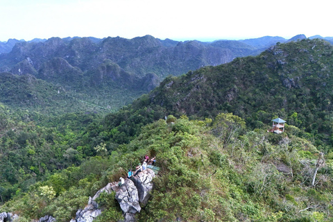 Half Day Hiking to Cat Ba National Park with a Guide