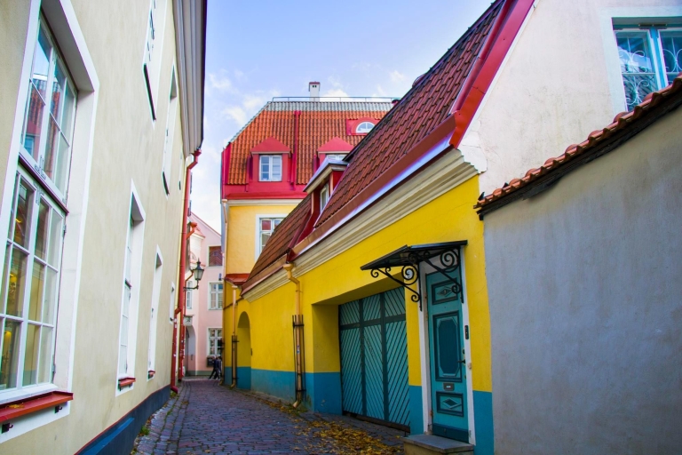 Tallin: Tour privado de arquitectura con un experto local