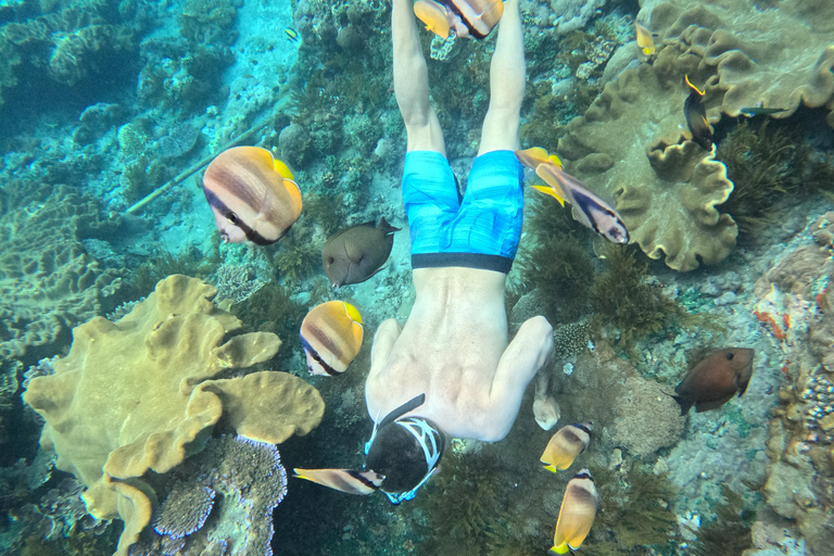 From Lembongan: Manta Point Snorkeling & West Penida Tour Snorkeling and West Land Tour with Hotel Pickup and Drop-Off