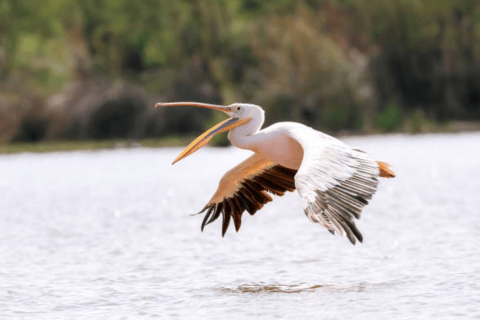 8 Days From Addis Ababa: Omo Valley Cultural & Tribal Tour