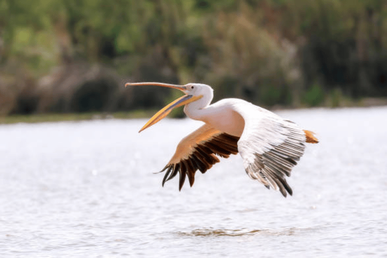 8 Days From Addis Ababa: Omo Valley Cultural & Tribal Tour