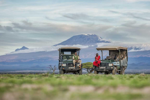 Nairobi Nationalpark, Elefantenbaby & Mittagessen im Carnivore