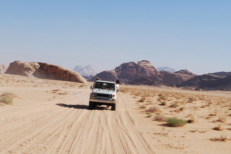 Aqaba: Petra & Wadi Rum Private Tour with Dinner one day