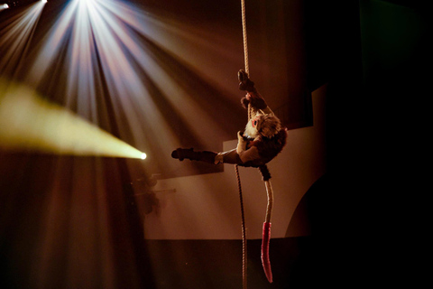 岘港：汉江晚餐游船之旅（含仙沙表演）岘港：汉江晚餐游船之旅，含仙沙表演