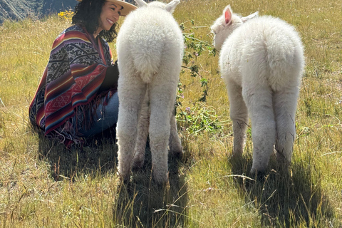 Hike with Alpacas and Llamas in Chinchero Chinchero Alpaca and Llama Hike