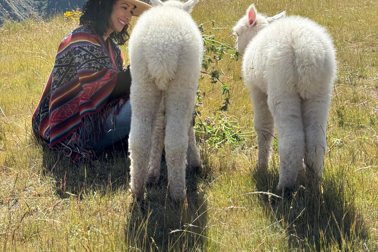 Hike with Alpacas and Llamas in Chinchero Chinchero Alpaca and Llama Hike