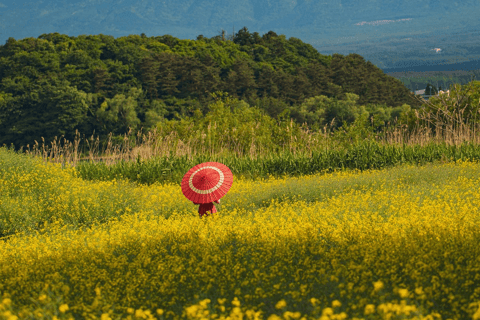 Mount Fuji Full-Day Private Tour from Tokyo (Customizable) Luxury Toyota Crown or SAI
