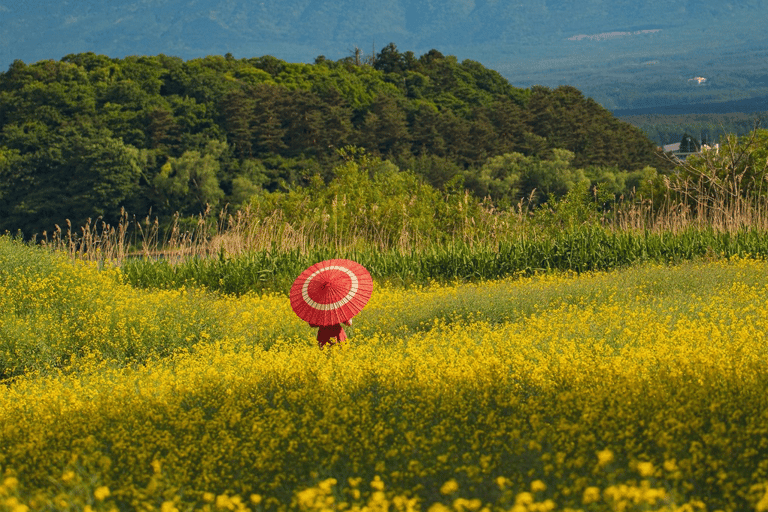 Mount Fuji Full-Day Private Tour from Tokyo (Customizable) Luxury Toyota Crown or SAI