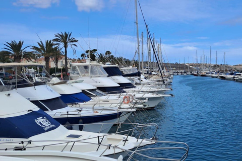 Gran Canaria: Ekologisk båttur för delfinsafari i liten gruppGran Canaria: Ekologisk båttur för att se delfiner i liten grupp