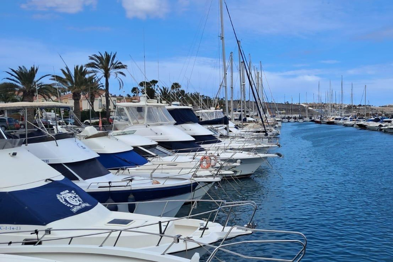 Gran Canaria: Ekologisk båttur för delfinsafari i liten gruppGran Canaria: Ekologisk båttur för att se delfiner i liten grupp