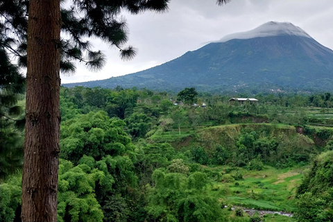 Yogyakarta: Selogriyo, Kedung Kayang & Merapi Sunset Tour SHARED TOUR: Hidden Rice Terraces & Volcano Sunset