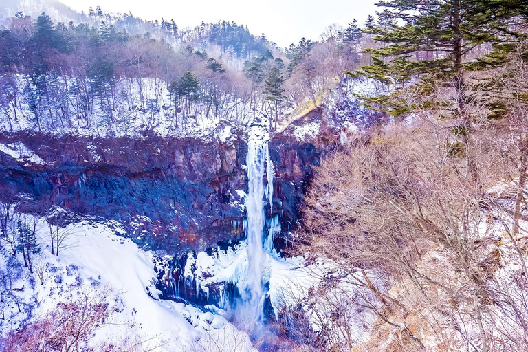 From Tokyo: Nikko Toshogu Shrine and Lake Chuzenji Day Trip Private Sightseeing Tours