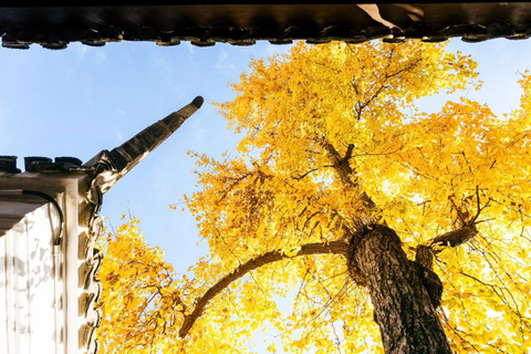 Suzhou: The Lion Grove Garden Entrance Ticket (Shizilin)
