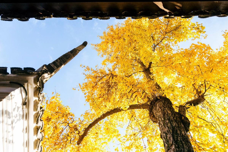 Suzhou: The Lion Grove Garden Entrance Ticket (Shizilin)