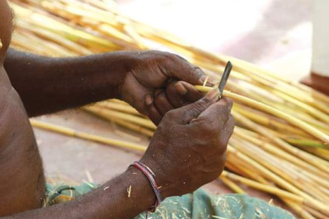 Dimbulagala Eco Trekking and Village Tour From Polonnaruwa