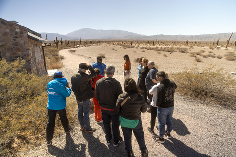 Cachi: Ruta Escénica y Experiencia Local desde Salta