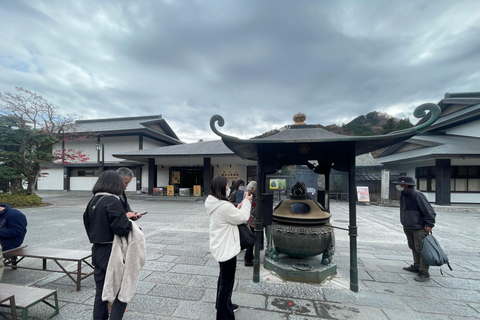 From Tokyo: Nikko Private Day Trip with Pickup & Drop-off