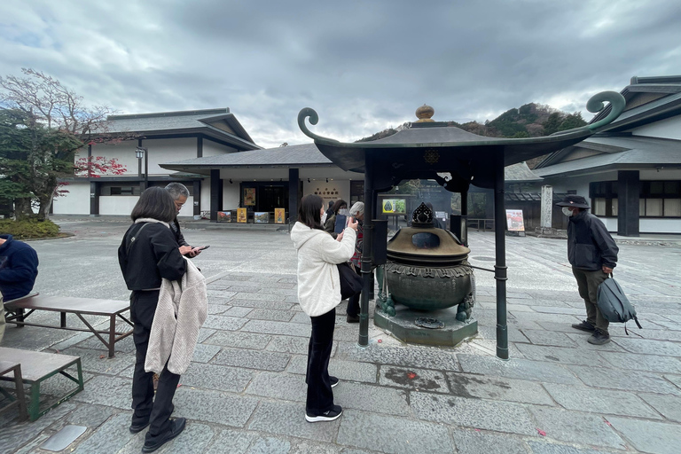 From Tokyo: Nikko Private Day Trip with Pickup & Drop-off