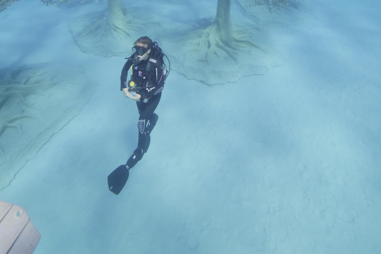 أيا نابا: متحف موسان اكتشف تجربة الغوص