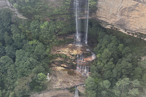 Blue Mountains: Scenic World, färja, zoo och koalafoto