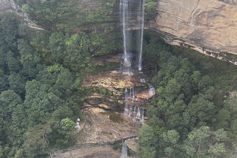 Blue Mountains: Mundo cênico, balsa, zoológico e foto de coala