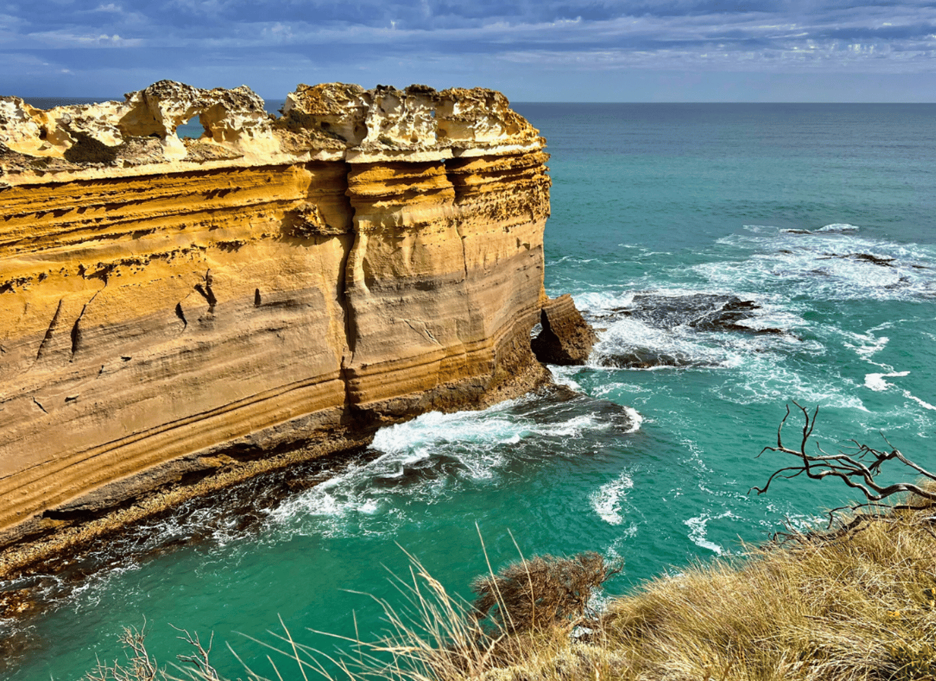 Fra Melbourne: Great Ocean Road heldagsudflugt