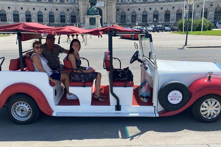 Viena: Passeio turístico num carro de estilo clássico dos anos 20Tour de 40 minutos