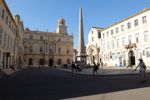 Tour privato di un giorno intero da Avignone