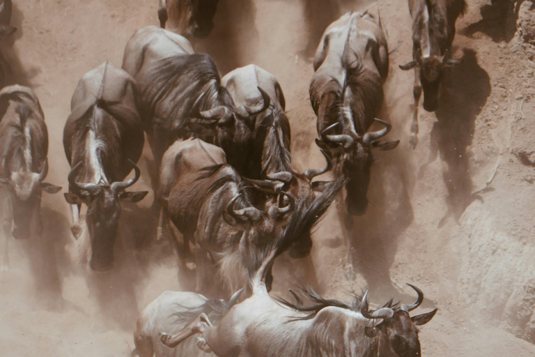 Arusha: Safari de 4 días a Tarangire, Serengeti y Ngorongoro