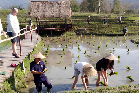 Kuang Si Waterfall & Rice Farm Tour with Sunset Cruise