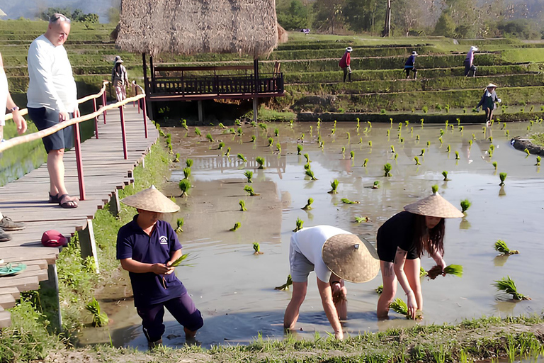 Kuang Si Waterfall & Rice Farm Tour with Sunset Cruise