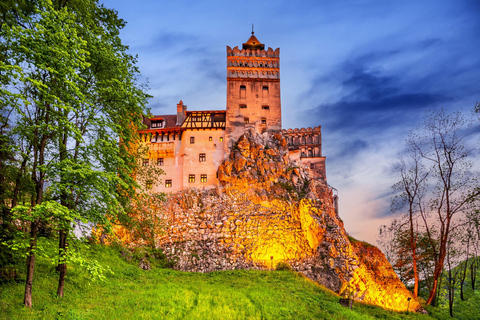 Boekarest: Peles &amp; Kasteel van Dracula en Brasov Hele dagtrip