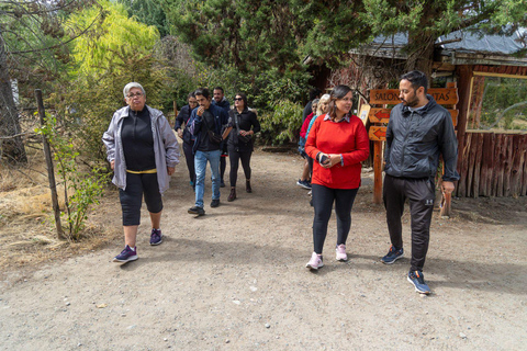 Bariloche: Andean Region Tour to El Bolsón & Lago Puelo