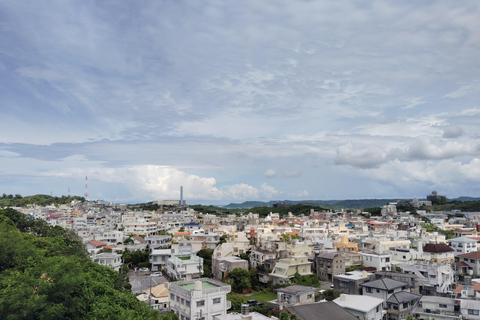 Naha: Shurijo Castle & Tamaudun Guided Walking Tour Morning visit