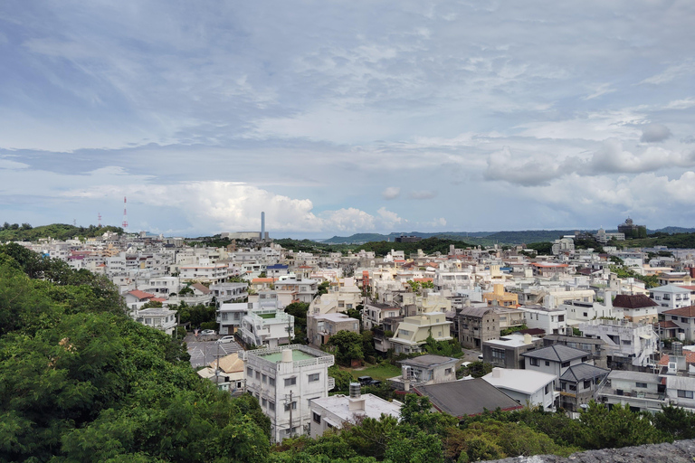 Naha: Shurijo Castle & Tamaudun Guided Walking Tour Morning visit
