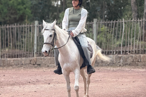 Entoto Horse Riding, Oromo Village & Nature Experience
