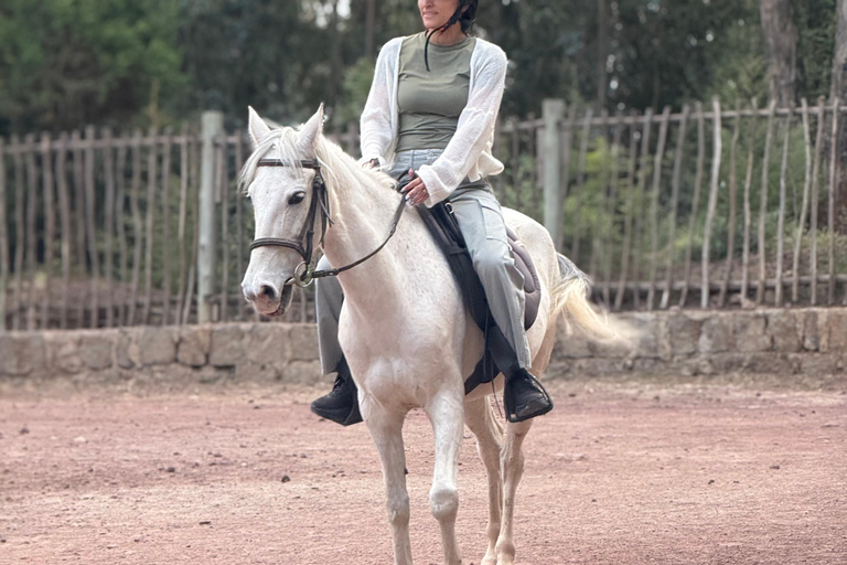 Entoto Horse Riding, Oromo Village & Nature Experience
