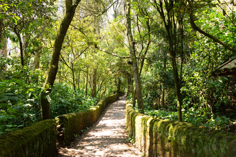 From Quito: Otavalo-Ponchos Square-Peguche Waterfall-MuseumTour Otavalo