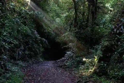 Monteverde: Tur i molnskogen