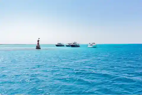 Sharm El-Sheikh: Ras Mohamed & White Island Snorkeling Trip