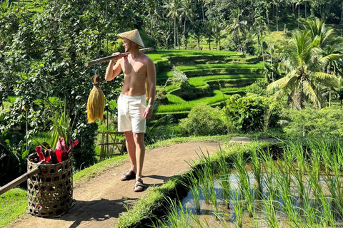 Ubud: Private Half-Day Tour Rice Terrace, Temple & Waterfall Private Half-Day Tour (With Entrance Tickets)