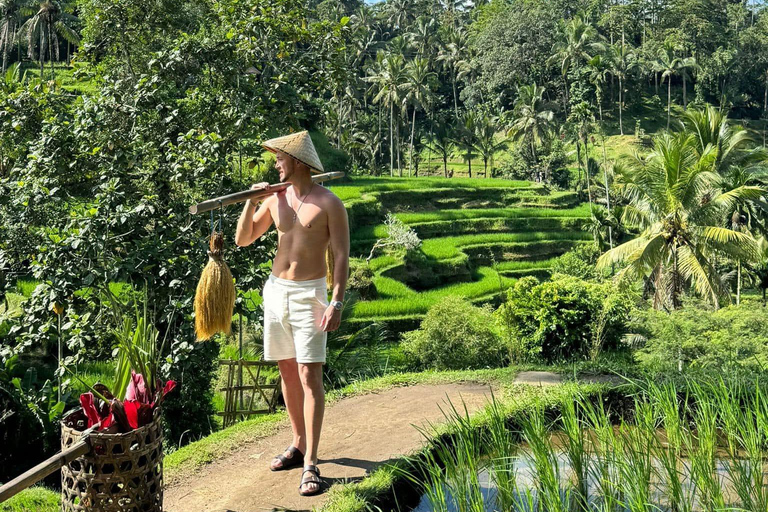 Ubud: Private Half-Day Tour Rice Terrace, Temple & Waterfall Private Half-Day Tour (With Entrance Tickets)