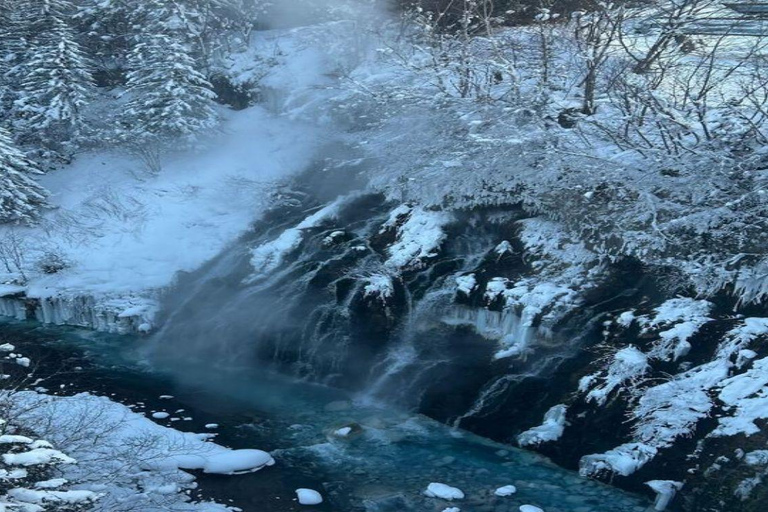 Sapporo: Biei & Furano Private Tour with Hot Spring