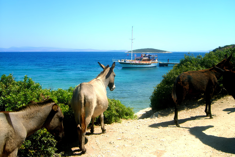 Izmir: Cesme Boat Tour and Alacati Visit